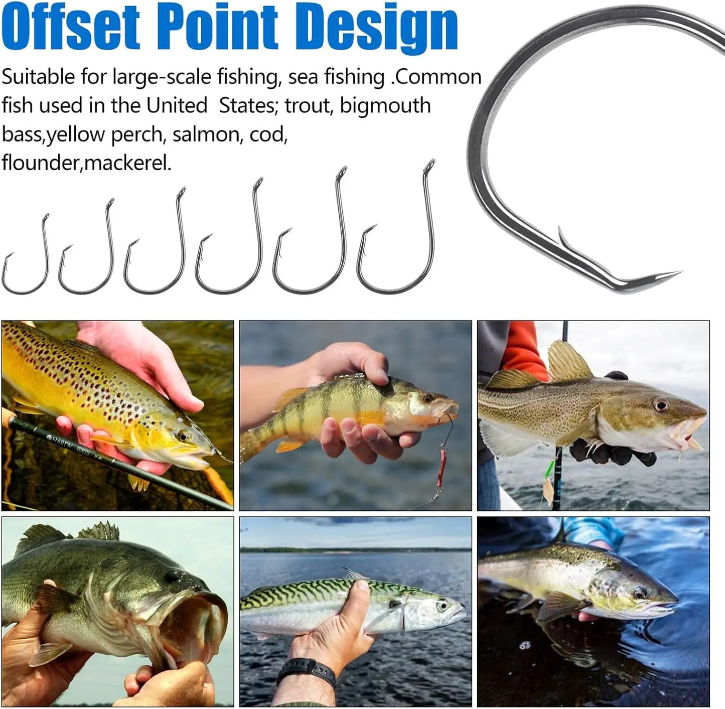 2X Strong Offset Circle Hooks for Saltwater and Freshwater Fishing, Black High Carbon Steel