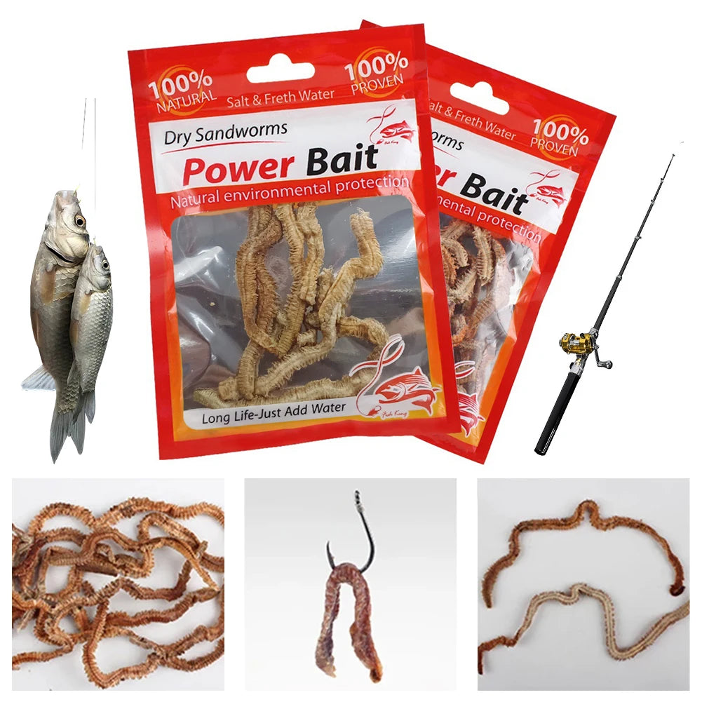 Dry Sandworms Fishing Lures Fishy Smell Lures Lifelike Dry Lugworm