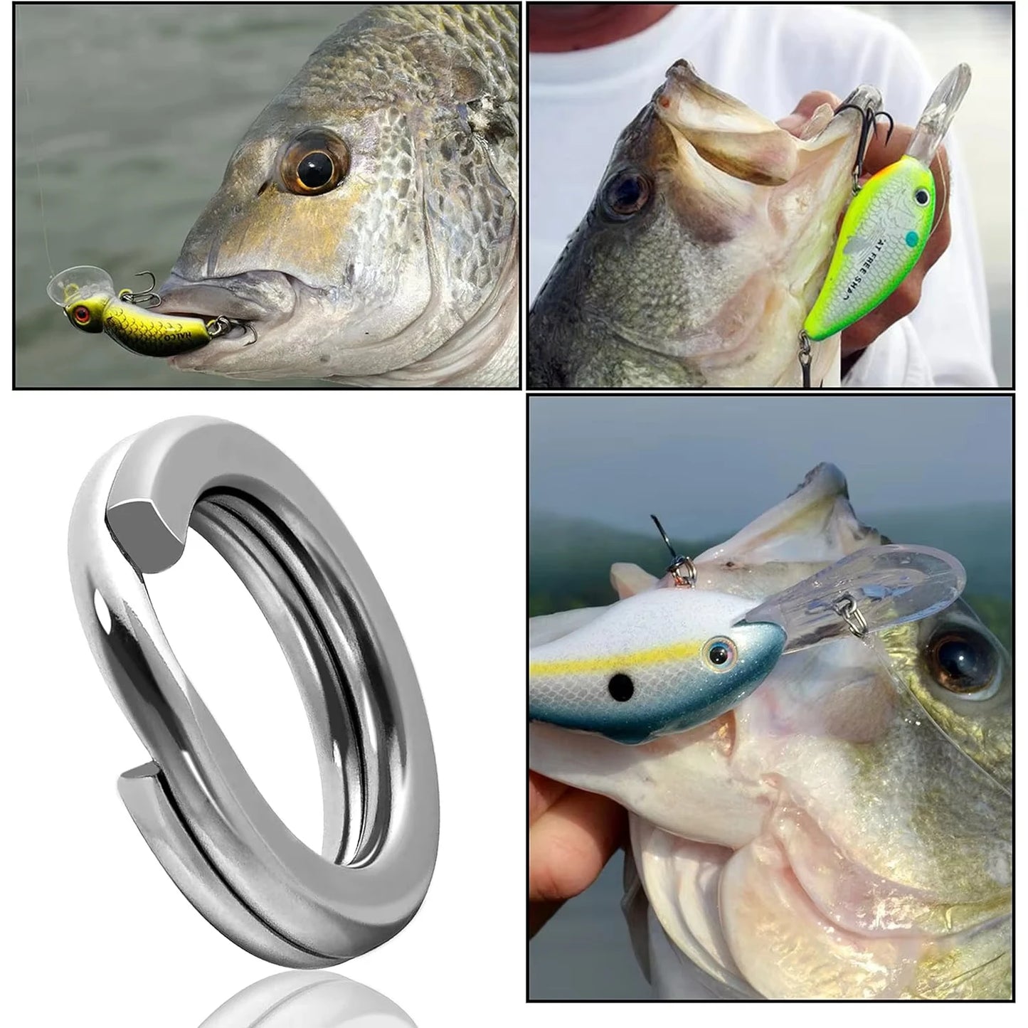 Fishing Stainless Steel Split Rings 5 Sizes High Strength Large tensile Force Fishing Loop Fishing Lure Connector 200/250PCS