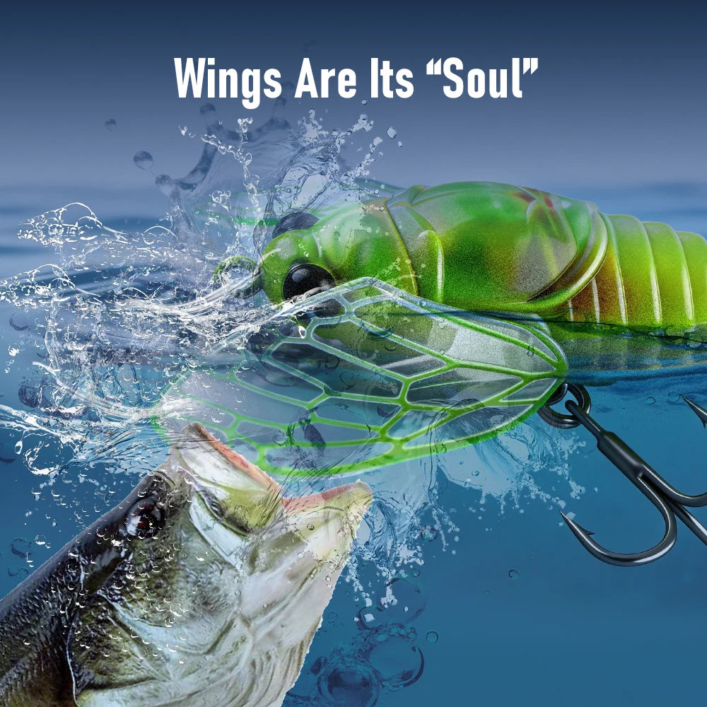 Kingdom 3-Pack Mini Cicada Topwater Lures (1.1" / 0.08 oz) for Bass & Trout