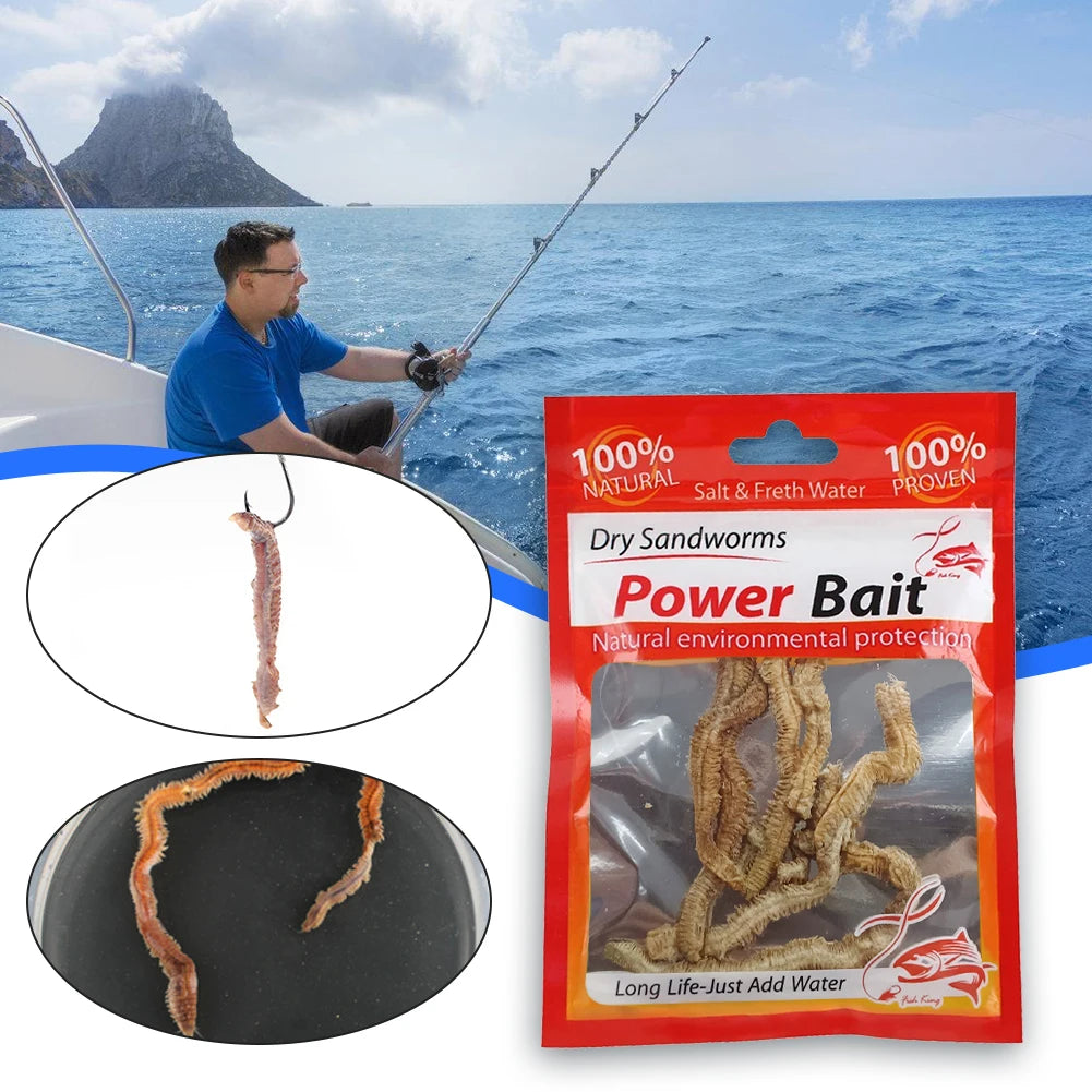 Dry Sandworms Fishing Lures Fishy Smell Lures Lifelike Dry Lugworm